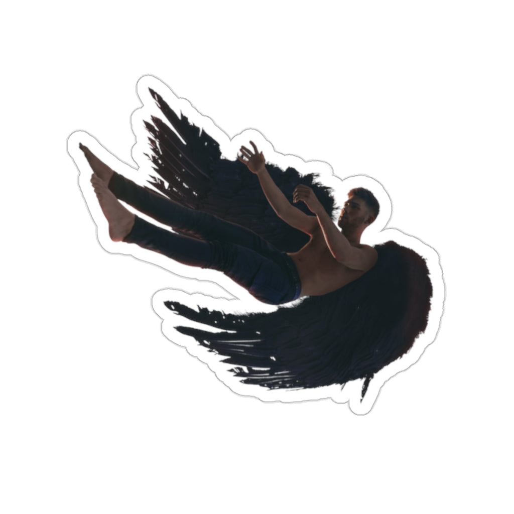 ICARUS Falling Sticker